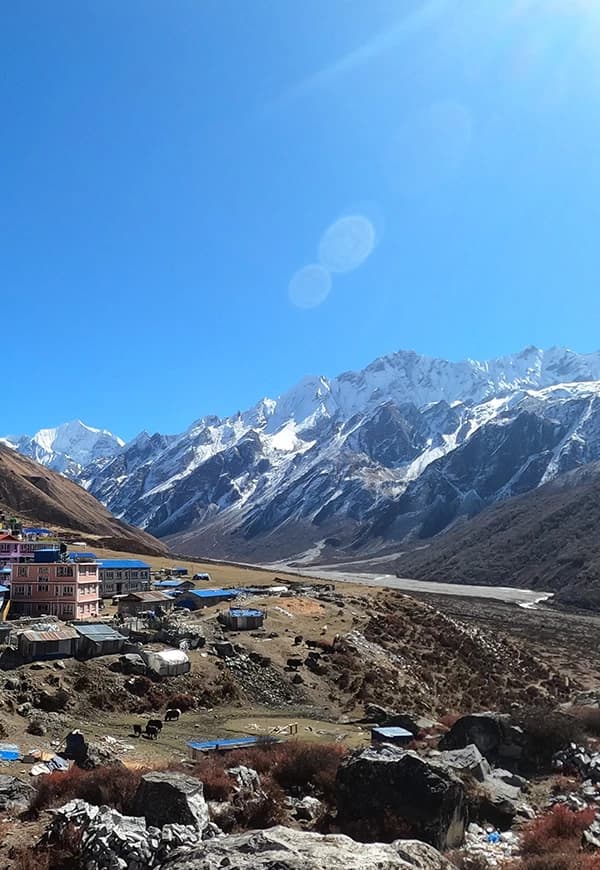 Langtang Treks