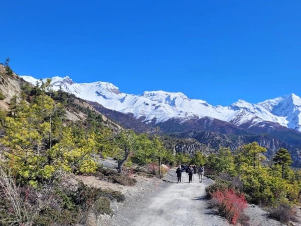 Annapurna Range