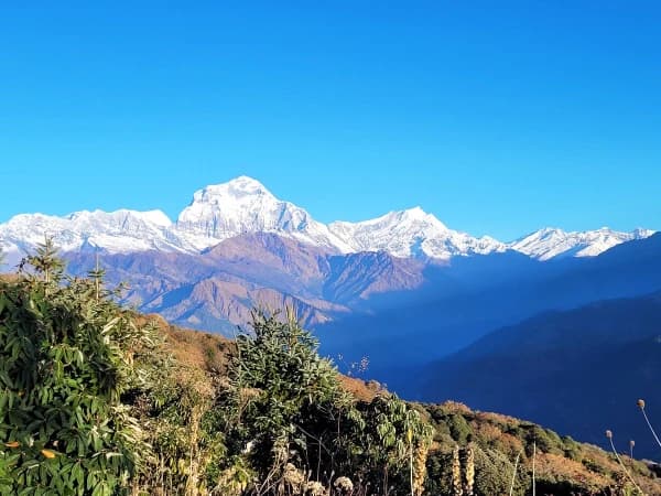 Dhaulagiri View